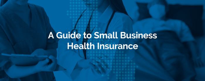 A Guide to Small Business Health Insurance | Health for CA