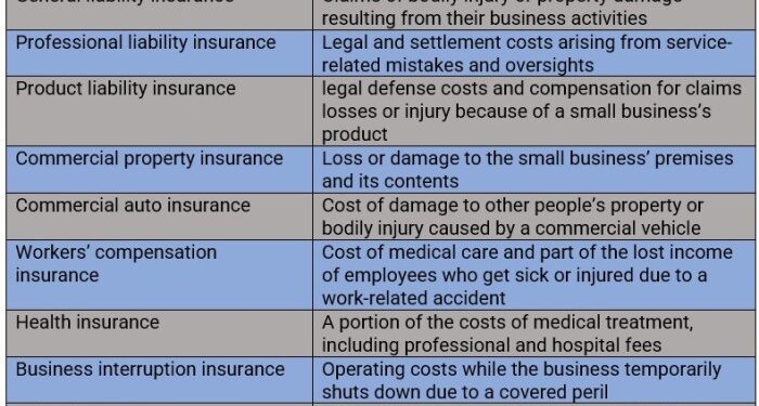 What Insurance Do You Need for a Small Business? | Atlas Insurance Agency